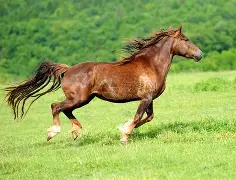 马拉加申告病例连胜基尔维，暂缓观察所空前战绩